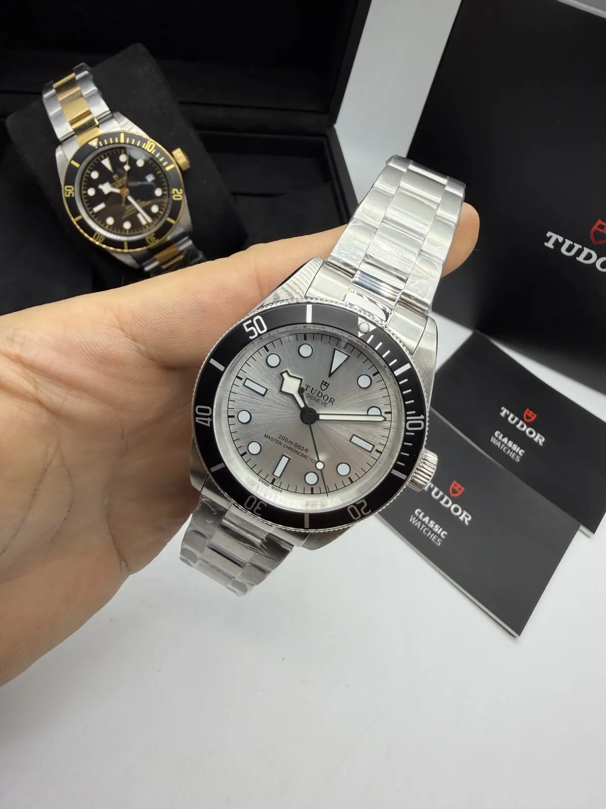 Tudor Black Bay Dial Prata