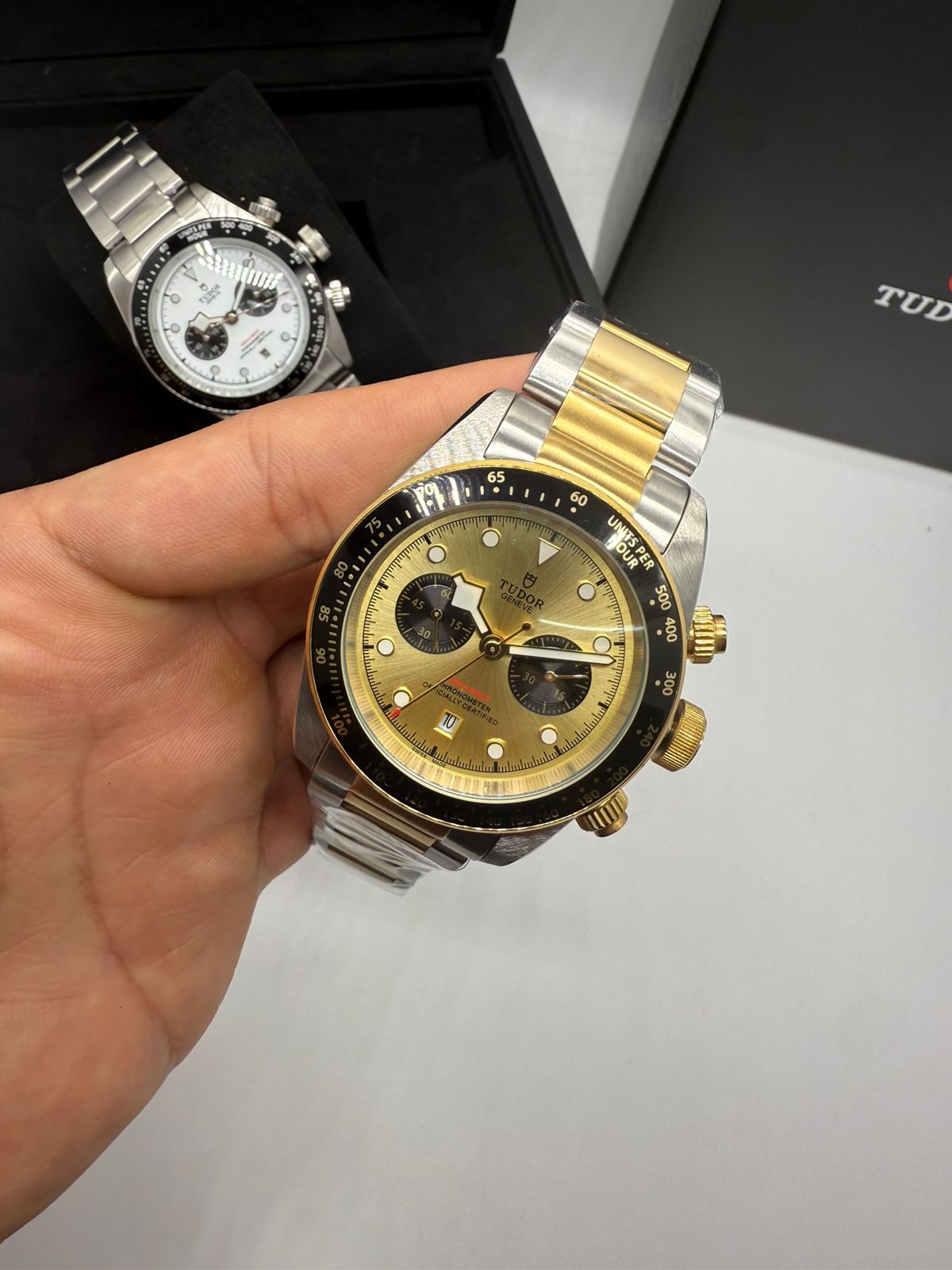 Tudor Linha Clone 009