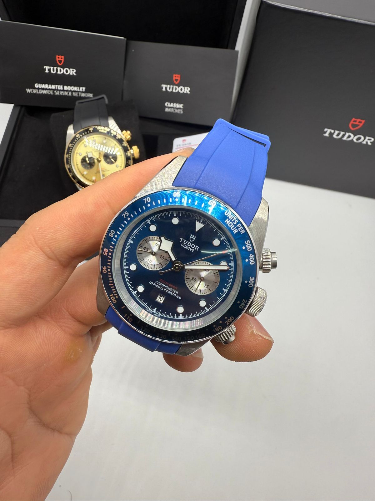 Tudor Linha Clone 011