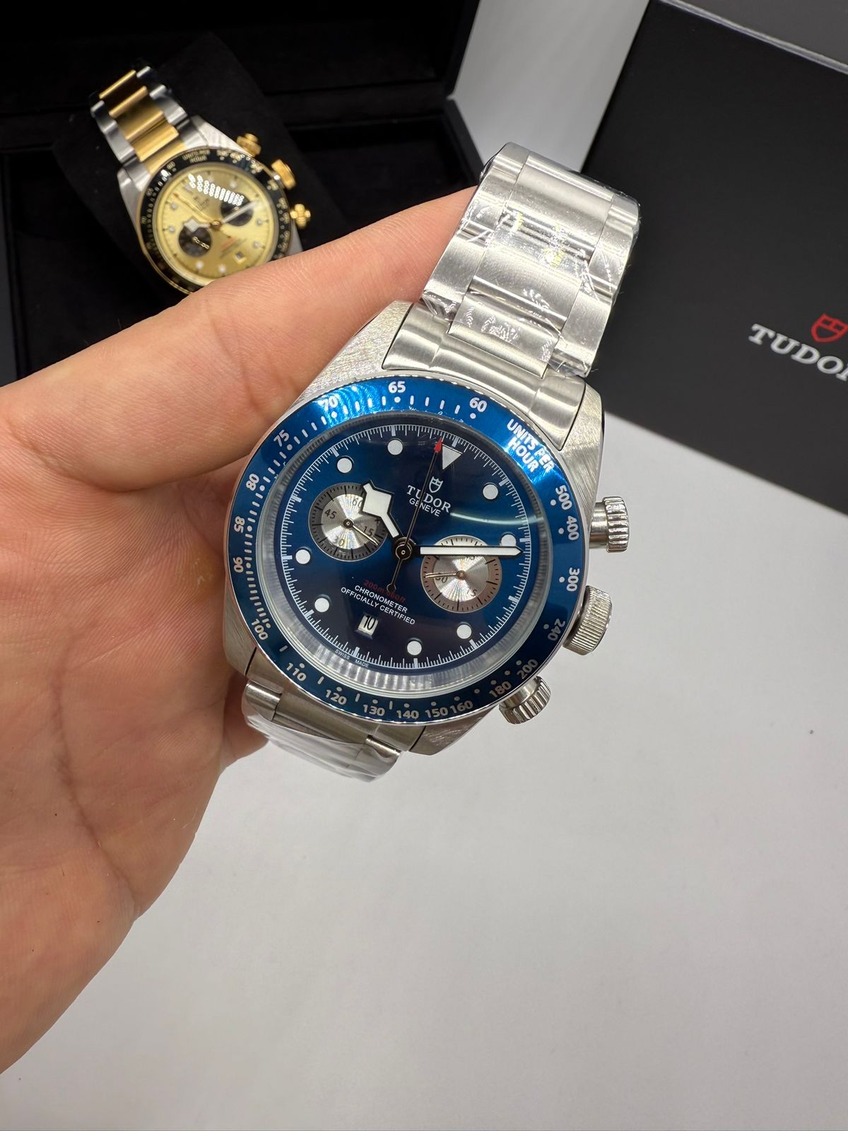 Tudor Linha Clone 016